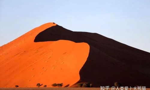 脸上起了牛皮癣摸什么药可以快速下去-权威脸部牛皮癣用什么护肤品好平台,分享专业脸上牛皮癣能消退吗知识_脸上牛皮癣抹什么药网